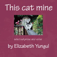 This cat mine