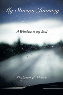 My Stormy Journey
