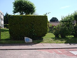 Plaque marking Agatha Christie's birthplace in Torquay